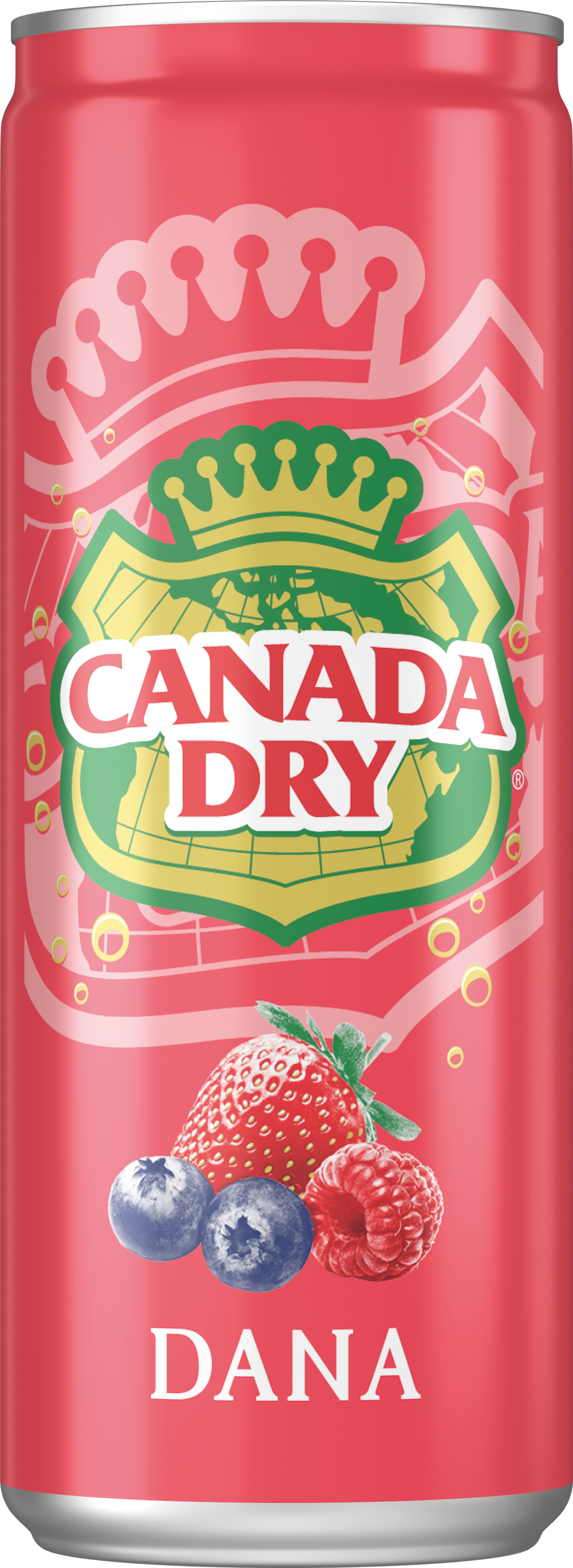 Canada Dry Dana can on white background