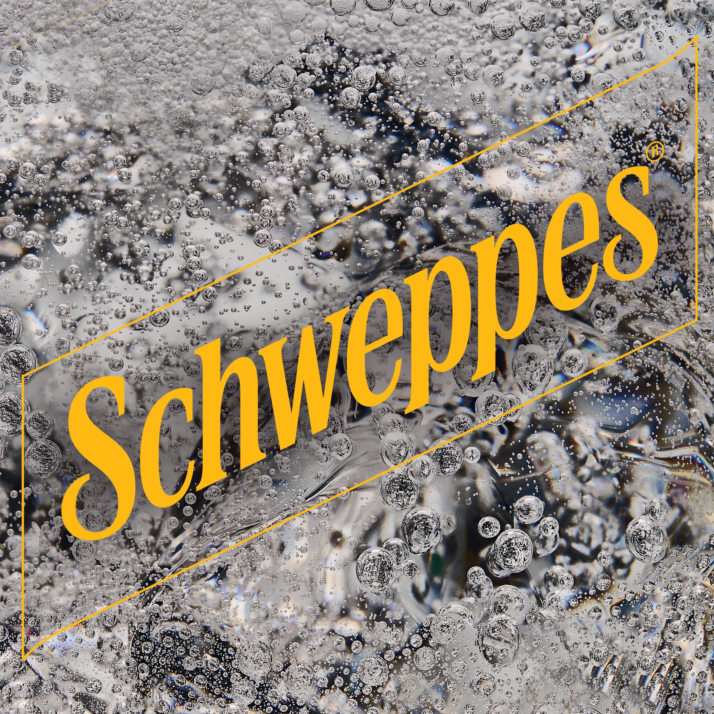 schweppes our history