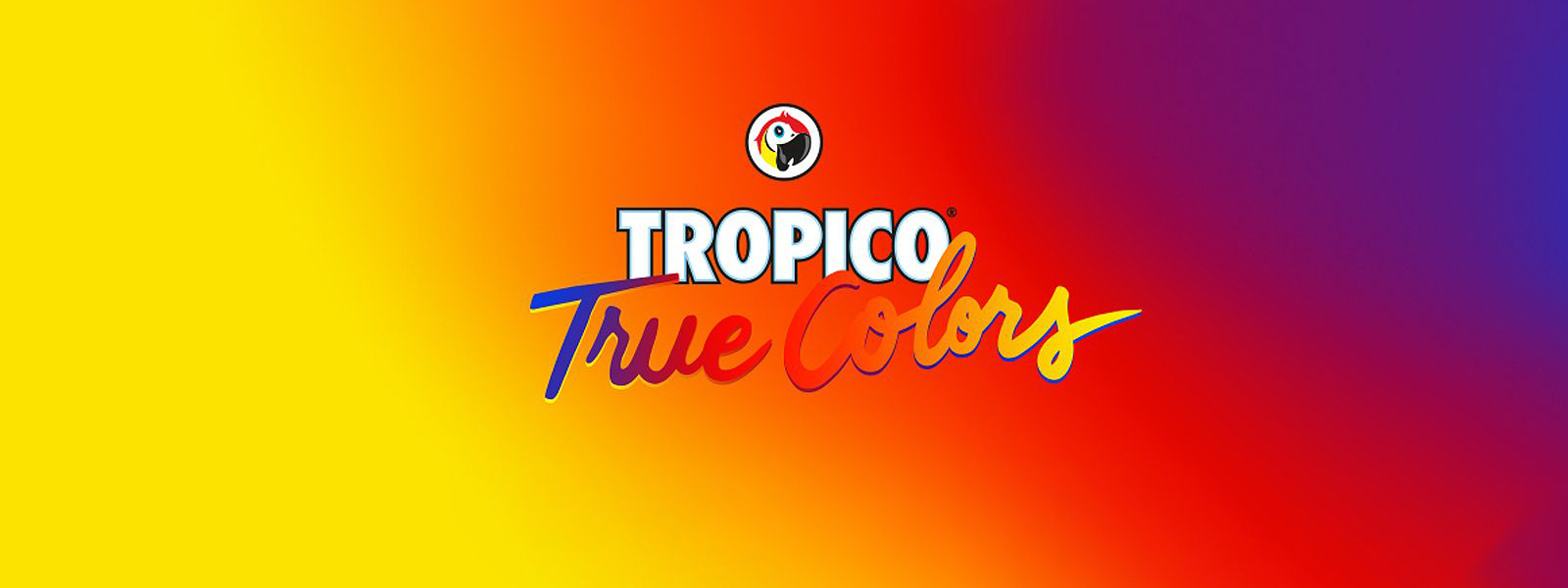 Fond dégradé lumineux allant du jaune au rouge puis au violet, avec un logo de perroquet en haut et le texte « TROPICO True Colors » en lettres blanches et manuscrites multicolores.
