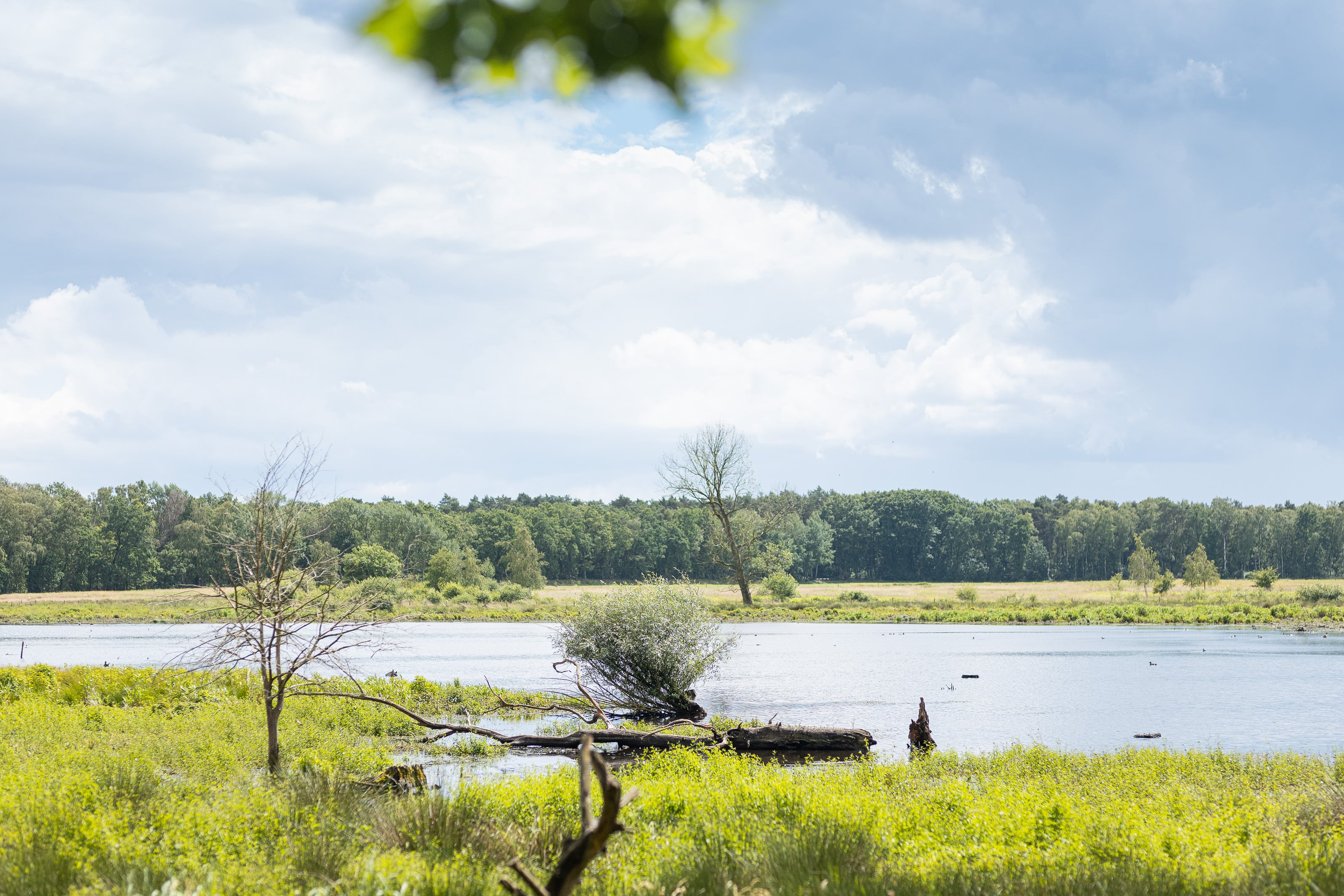 Vallei van de Zwarte Beek