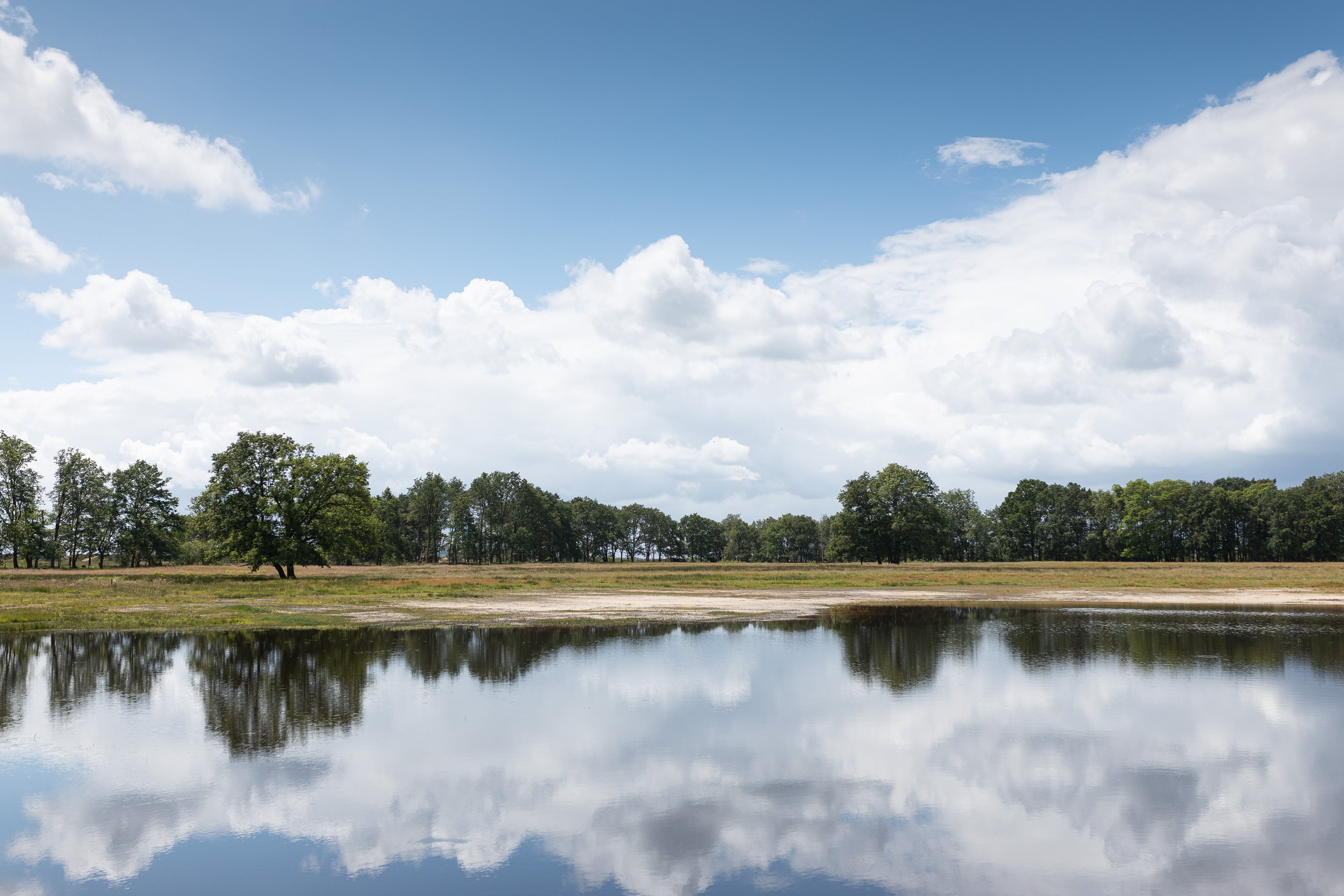 Foto van de Vallei van de Zwarte Beek te Limburg