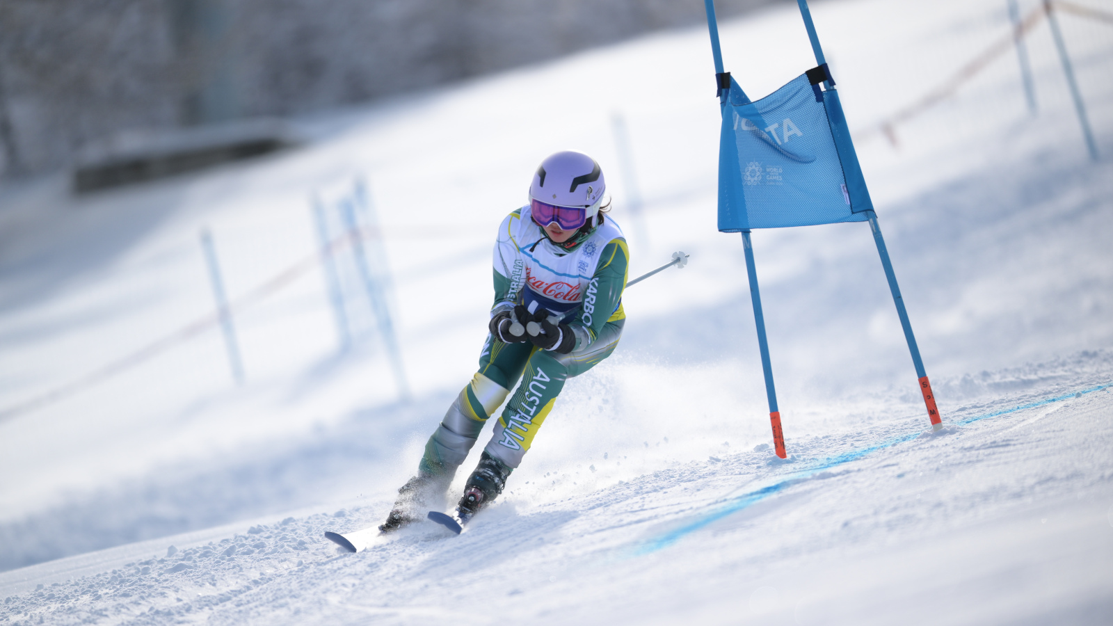 alpin skiing