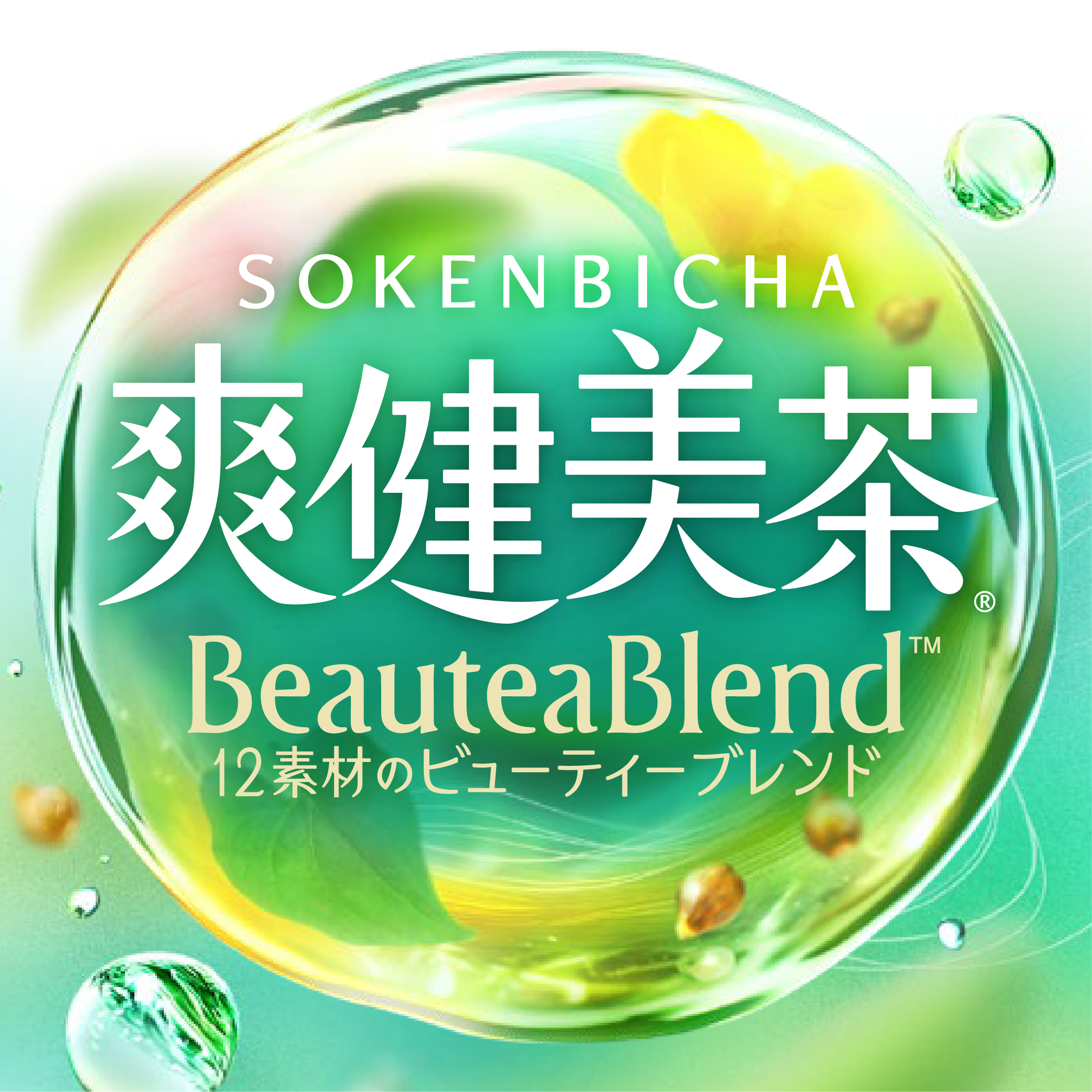 sokenbicha
