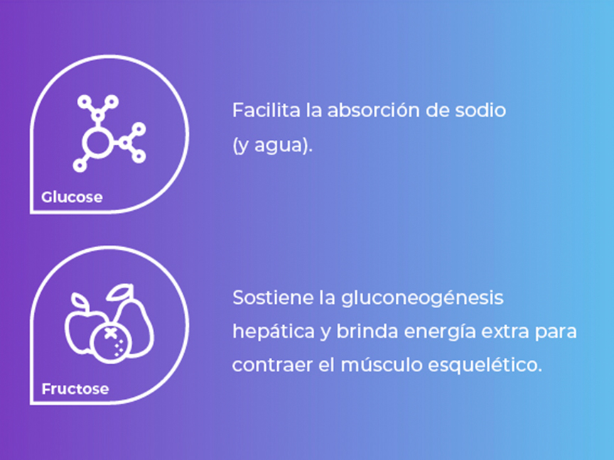Ilustración de los Carbohidratos presentes en una botella de Flashlyte.