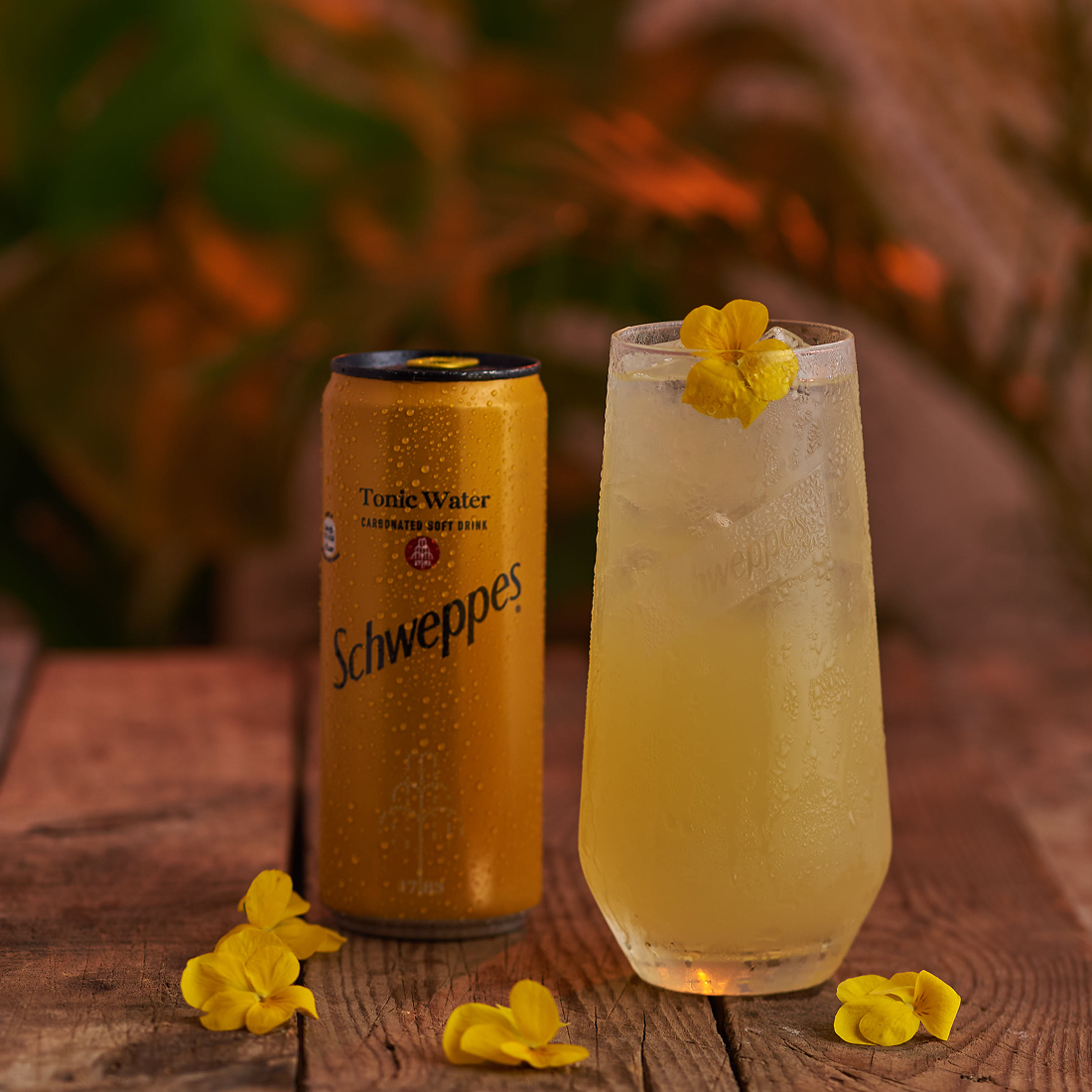 Schweppes Navel Tonic