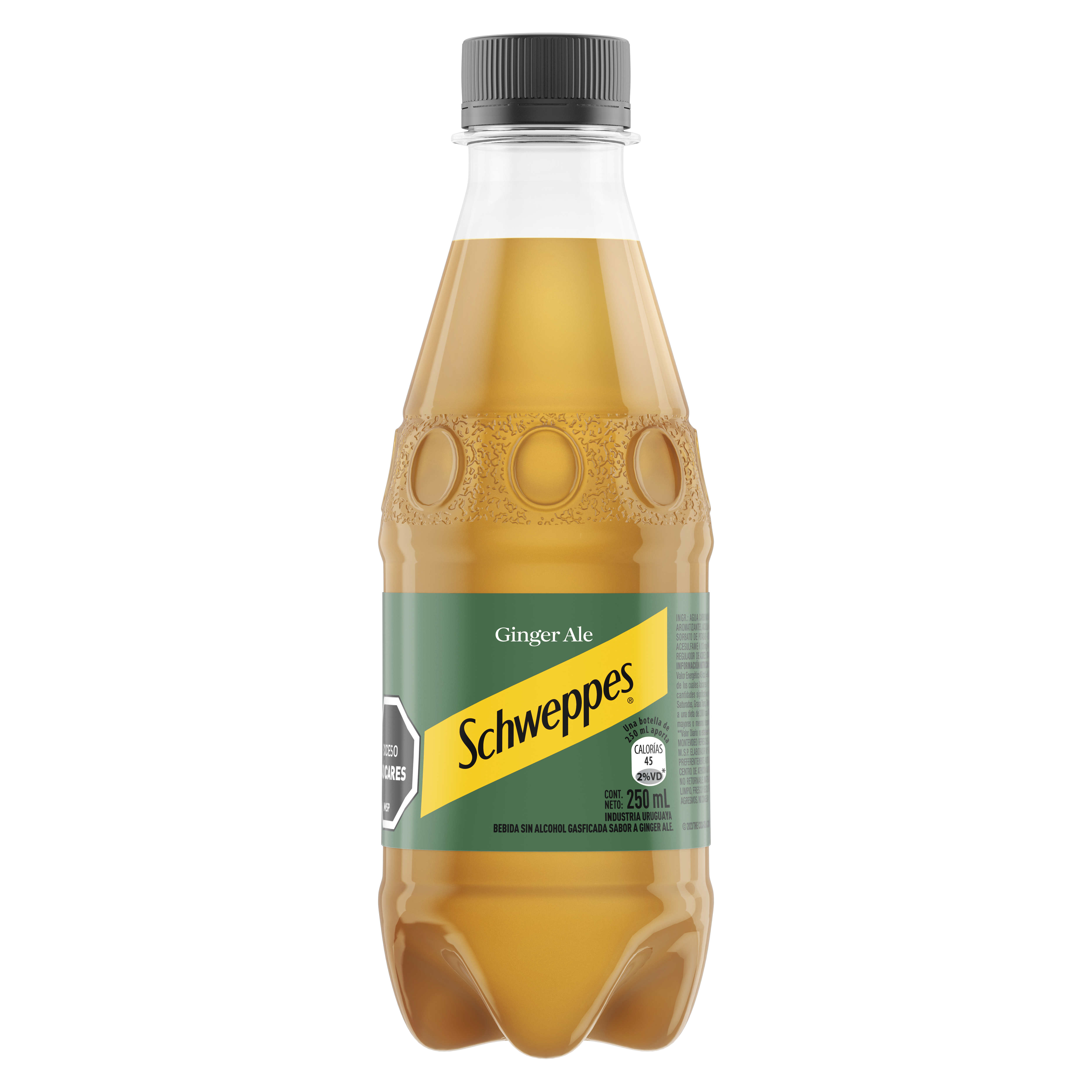 Botella de Schweppes Ginger Ale